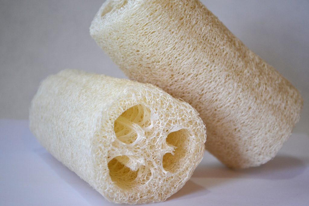 Loofah Body Sponge – EcoTools Beauty
